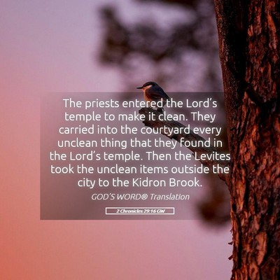 Picture 05 - 2 Chronicles 29:16 GW - The priests entered the Lord’s temple to make - Bible Verse Picture