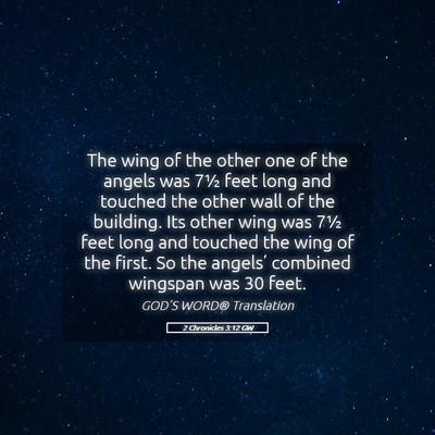 Picture 05 - 2 Chronicles 3:12 GW - The wing of the other one of the angels was 7½ - Bible Verse Picture