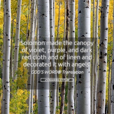 Picture 05 - 2 Chronicles 3:14 GW - Solomon made the canopy of violet, purple, and - Bible Verse Picture