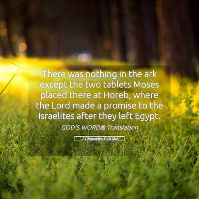 Picture 05 - 2 Chronicles 5:10 GW - There was nothing in the ark except the two - Bible Verse Picture