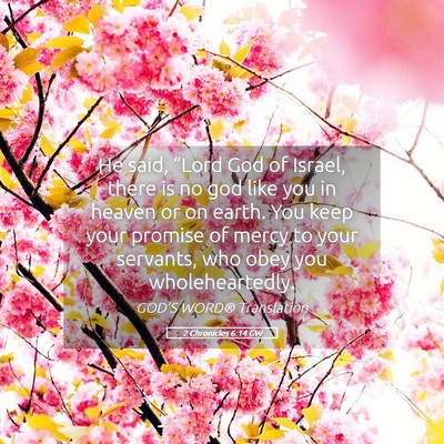 Picture 05 - 2 Chronicles 6:14 GW - He said, “Lord God of Israel, there is no god - Bible Verse Picture