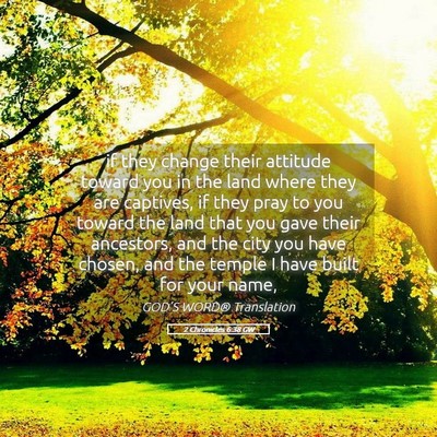 Picture 05 - 2 Chronicles 6:38 GW - if they change their attitude toward you in the - Bible Verse Picture