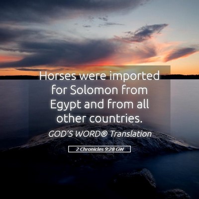 Picture 05 - 2 Chronicles 9:28 GW - Horses were imported for Solomon from Egypt and - Bible Verse Picture
