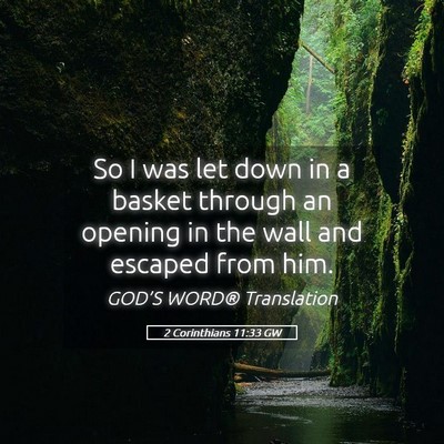 Picture 05 - 2 Corinthians 11:33 GW - So I was let down in a basket through an opening - Bible Verse Picture