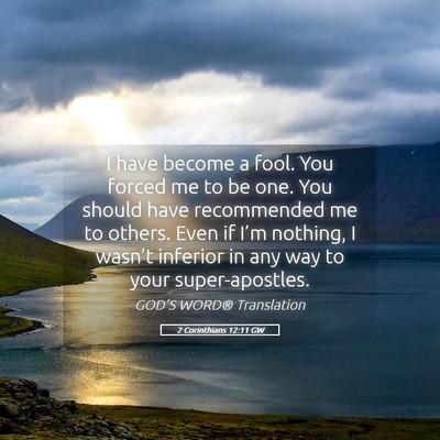Picture 05 - 2 Corinthians 12:11 GW - I have become a fool. You forced me to be one. - Bible Verse Picture
