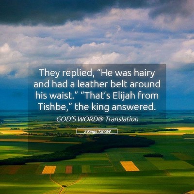 Picture 05 - 2 Kings 1:8 GW - They replied, “He was hairy and had a leather - Bible Verse Picture