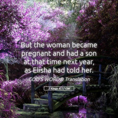 Picture 05 - 2 Kings 4:17 GW - But the woman became pregnant and had a son at - Bible Verse Picture