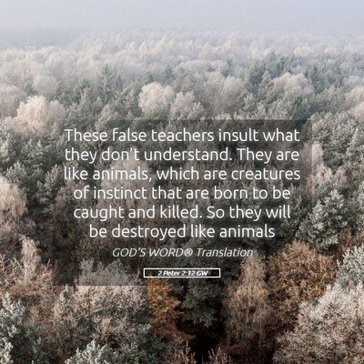 Picture 05 - 2 Peter 2:12 GW - These false teachers insult what they don’t - Bible Verse Picture