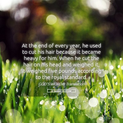 Picture 05 - 2 Samuel 14:26 GW - At the end of every year, he used to cut his hair - Bible Verse Picture