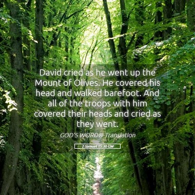 Picture 05 - 2 Samuel 15:30 GW - David cried as he went up the Mount of Olives. He - Bible Verse Picture