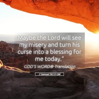 Picture 05 - 2 Samuel 16:12 GW - Maybe the Lord will see my misery and turn his - Bible Verse Picture