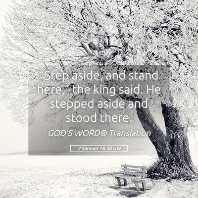 Picture 05 - 2 Samuel 18:30 GW - “Step aside, and stand here,” the king said. - Bible Verse Picture