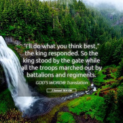 Picture 05 - 2 Samuel 18:4 GW - “I’ll do what you think best,” the king - Bible Verse Picture
