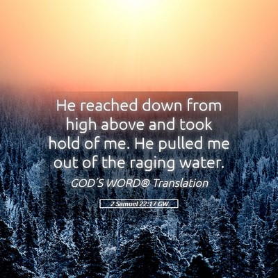 Picture 05 - 2 Samuel 22:17 GW - He reached down from high above and took hold of - Bible Verse Picture