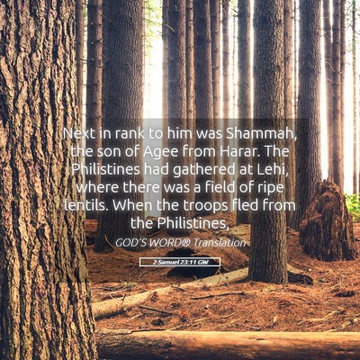 Picture 05 - 2 Samuel 23:11 GW - Next in rank to him was Shammah, the son of Agee - Bible Verse Picture