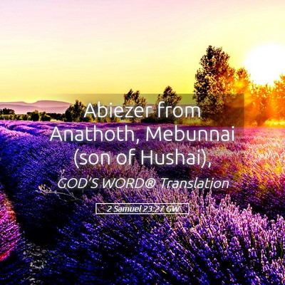 Picture 05 - 2 Samuel 23:27 GW - Abiezer from Anathoth, Mebunnai (son of - Bible Verse Picture