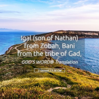 Picture 05 - 2 Samuel 23:36 GW - Igal (son of Nathan) from Zobah, Bani from the - Bible Verse Picture