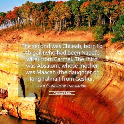 Picture 05 - 2 Samuel 3:3 GW - The second was Chileab, born to Abigail (who had - Bible Verse Picture