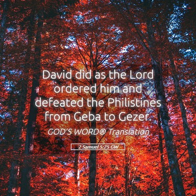 Picture 05 - 2 Samuel 5:25 GW - David did as the Lord ordered him and defeated - Bible Verse Picture
