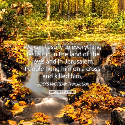 Picture 05 - Acts 10:39 GW - We can testify to everything Jesus did in the - Bible Verse Picture