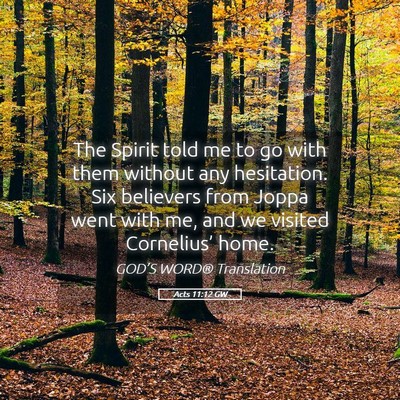 Picture 05 - Acts 11:12 GW - The Spirit told me to go with them without any - Bible Verse Picture