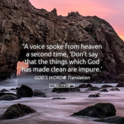 Picture 05 - Acts 11:9 GW - “A voice spoke from heaven a second time, - Bible Verse Picture