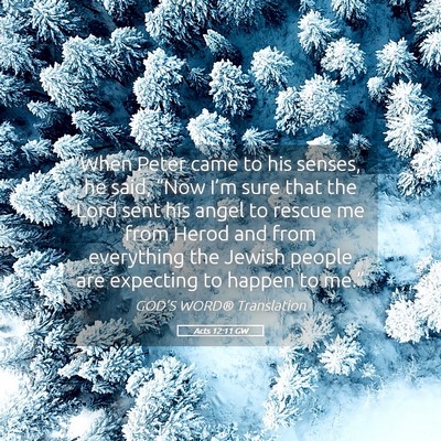 Picture 05 - Acts 12:11 GW - When Peter came to his senses, he said, “Now - Bible Verse Picture