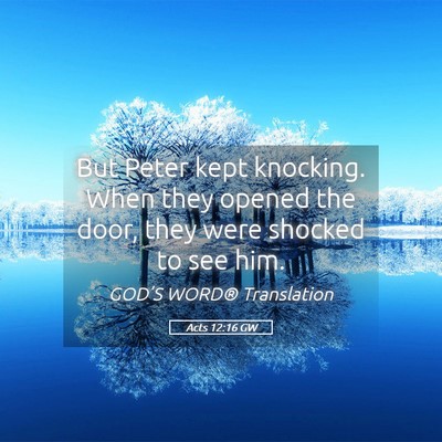 Picture 05 - Acts 12:16 GW - But Peter kept knocking. When they opened the - Bible Verse Picture