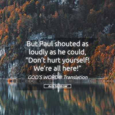 Picture 05 - Acts 16:28 GW - But Paul shouted as loudly as he could, - Bible Verse Picture