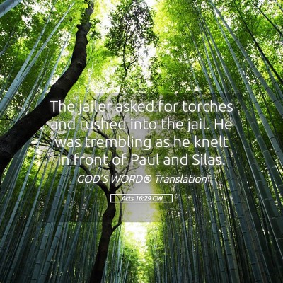 Picture 05 - Acts 16:29 GW - The jailer asked for torches and rushed into the - Bible Verse Picture