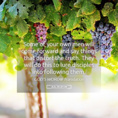 Picture 05 - Acts 20:30 GW - Some of your own men will come forward and say - Bible Verse Picture