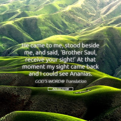 Picture 05 - Acts 22:13 GW - He came to me, stood beside me, and said, - Bible Verse Picture
