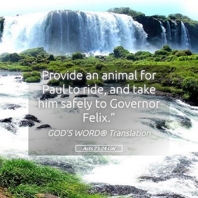 Picture 05 - Acts 23:24 GW - Provide an animal for Paul to ride, and take him - Bible Verse Picture