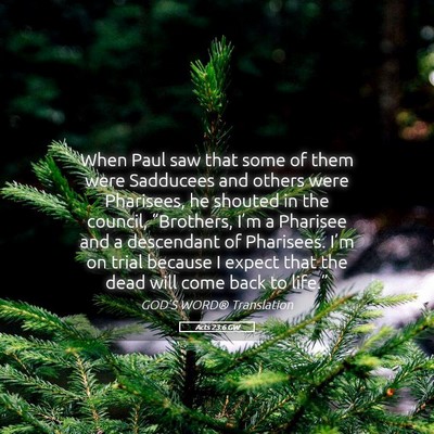 Picture 05 - Acts 23:6 GW - When Paul saw that some of them were Sadducees - Bible Verse Picture