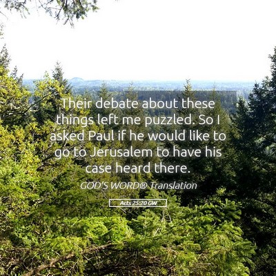 Picture 05 - Acts 25:20 GW - Their debate about these things left me puzzled. - Bible Verse Picture