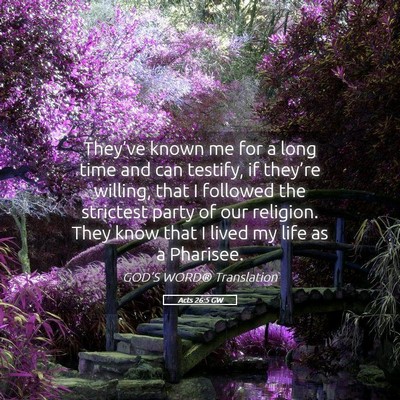 Picture 05 - Acts 26:5 GW - They’ve known me for a long time and can - Bible Verse Picture