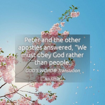 Picture 05 - Acts 5:29 GW - Peter and the other apostles answered, “We must - Bible Verse Picture