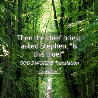 Picture 05 - Acts 7:1 GW - Then the chief priest asked Stephen, “Is this - Bible Verse Picture