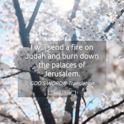 Picture 05 - Amos 2:5 GW - I will send a fire on Judah and burn down the - Bible Verse Picture
