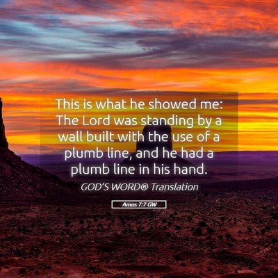 Picture 05 - Amos 7:7 GW - This is what he showed me: The Lord was standing - Bible Verse Picture
