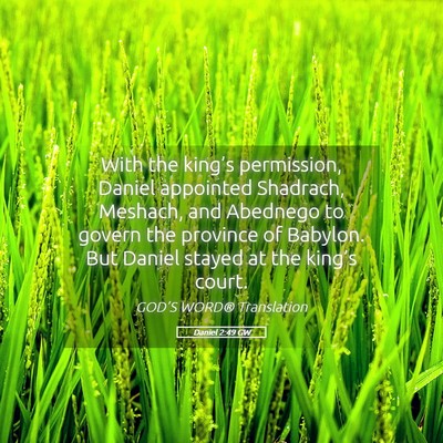 Picture 05 - Daniel 2:49 GW - With the king’s permission, Daniel appointed - Bible Verse Picture