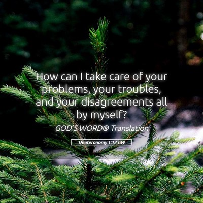 Picture 05 - Deuteronomy 1:12 GW - How can I take care of your problems, your - Bible Verse Picture
