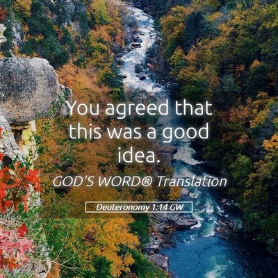Picture 05 - Deuteronomy 1:14 GW - You agreed that this was a good - Bible Verse Picture