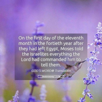 Picture 05 - Deuteronomy 1:3 GW - On the first day of the eleventh month in the - Bible Verse Picture