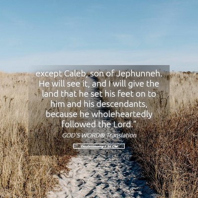 Picture 05 - Deuteronomy 1:36 GW - except Caleb, son of Jephunneh. He will see it, - Bible Verse Picture