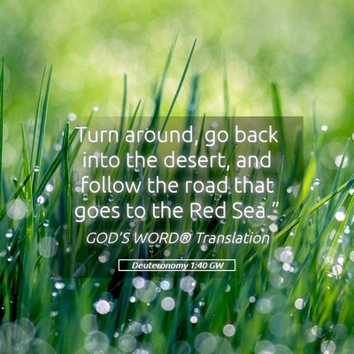 Picture 05 - Deuteronomy 1:40 GW - Turn around, go back into the desert, and follow - Bible Verse Picture