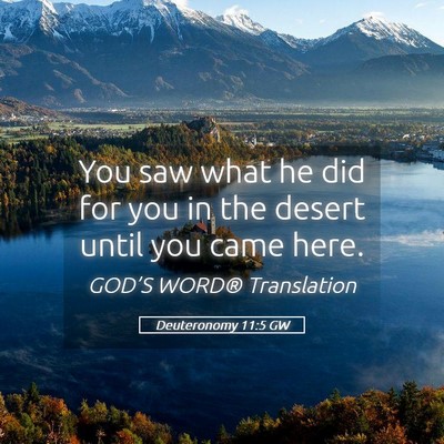 Picture 05 - Deuteronomy 11:5 GW - You saw what he did for you in the desert until - Bible Verse Picture