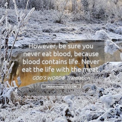 Picture 05 - Deuteronomy 12:23 GW - However, be sure you never eat blood, because - Bible Verse Picture