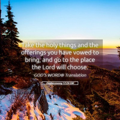 Picture 05 - Deuteronomy 12:26 GW - Take the holy things and the offerings you have - Bible Verse Picture
