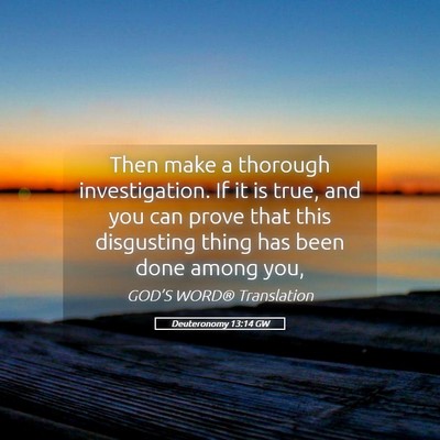 Picture 05 - Deuteronomy 13:14 GW - Then make a thorough investigation. If it is - Bible Verse Picture